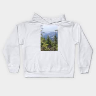 Landscape in the fog, Goslar, Harz Kids Hoodie